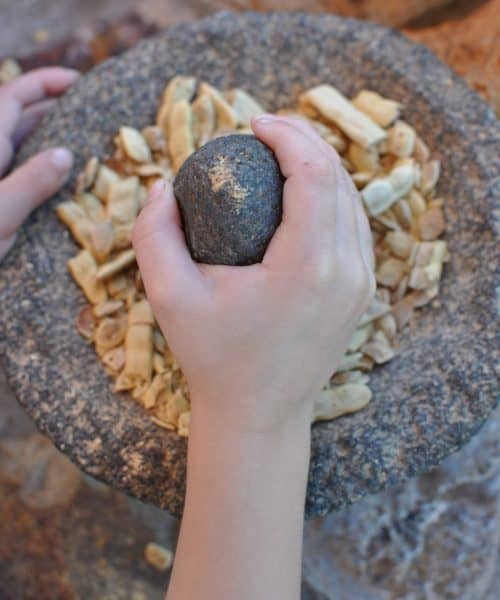 mesquite flour Tohono Chul Park | Guide to Tohono Chul (Gardens, Galleries, Bistro)