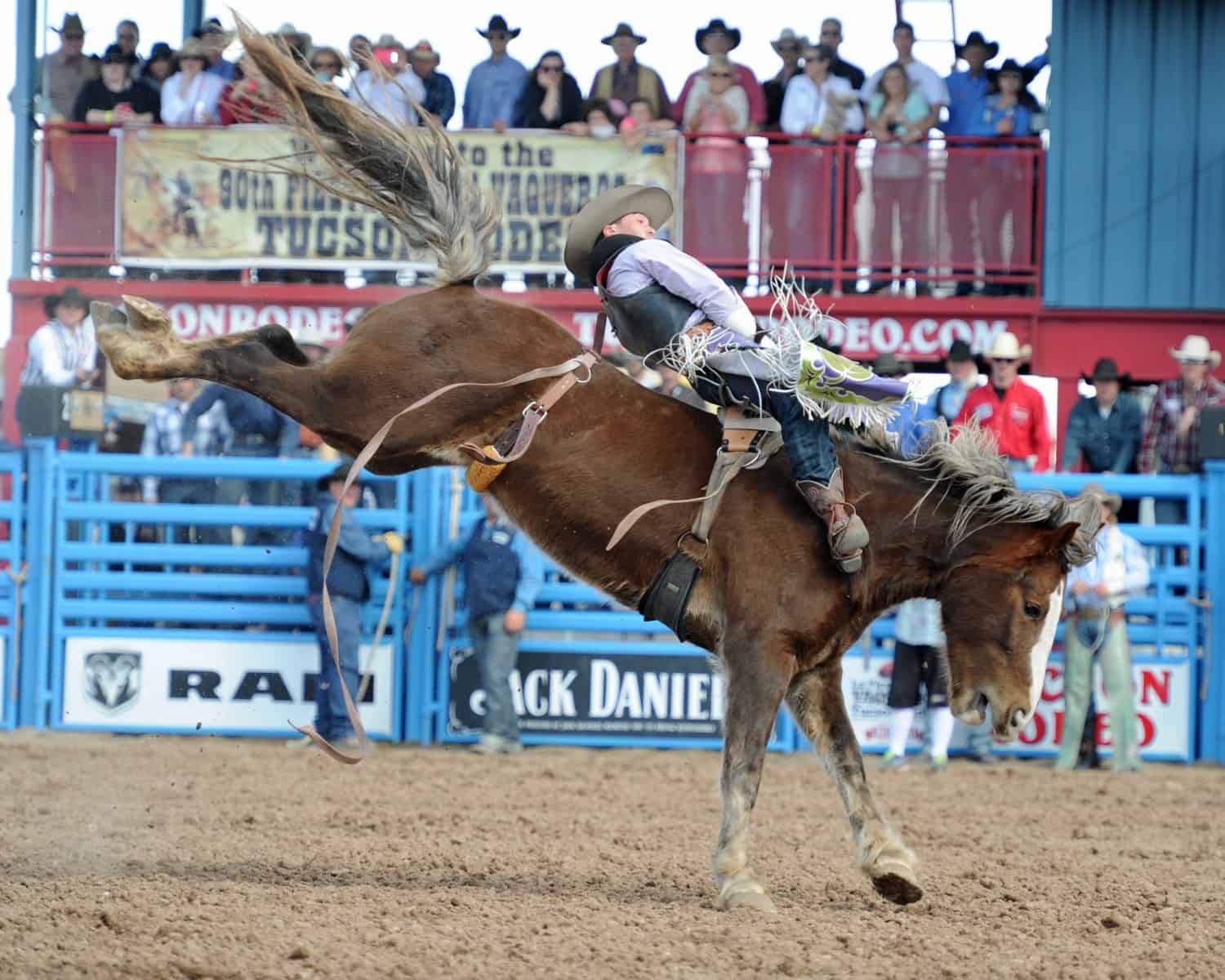 Tucson Rodeo Guide Tickets, Parking, Barn Dances, Parade TucsonTopia