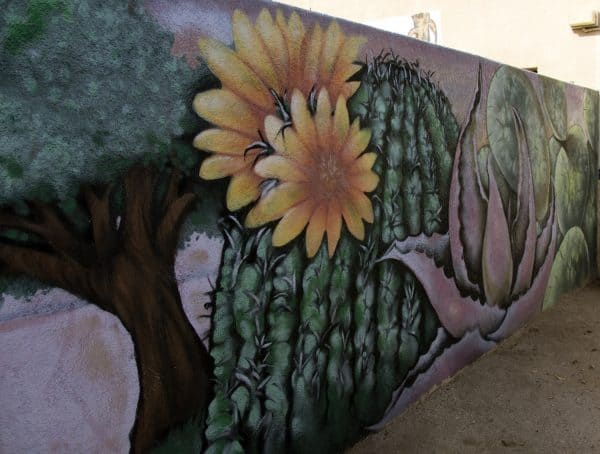 mural cactus Downtown Tucson Armory Park | Park Profile: Armory Park