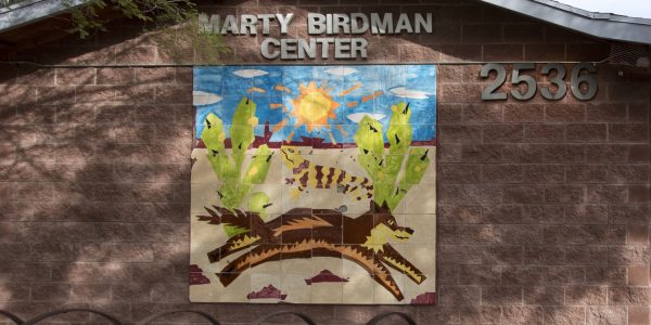 Marty Birdman Center Tucson | Park Profile: Balboa Heights Park