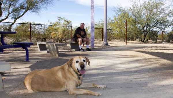 off leash dog Purple Heart Park | Park Profile: Purple Heart Park
