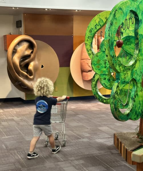 Bodyology Grocery Carts Childrens Museum Tucson | Children's Museum Tucson Guide - Tickets, Parking, Special Events