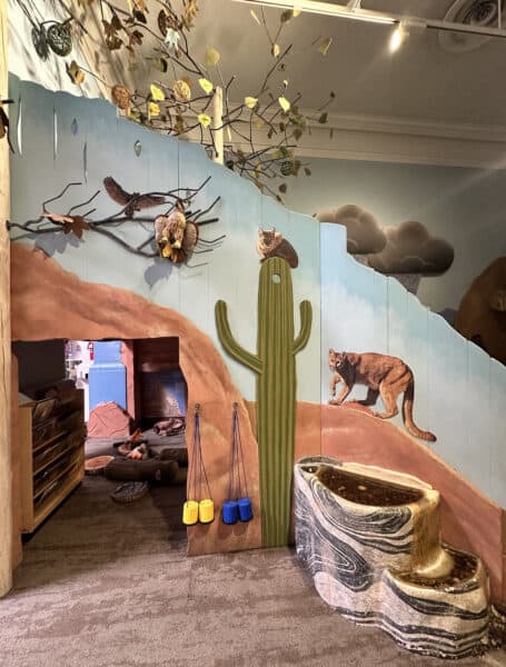 Desert Exhibit Sense of Place Childrens Museum Tucson | Children's Museum Tucson Guide - Tickets, Parking, Special Events