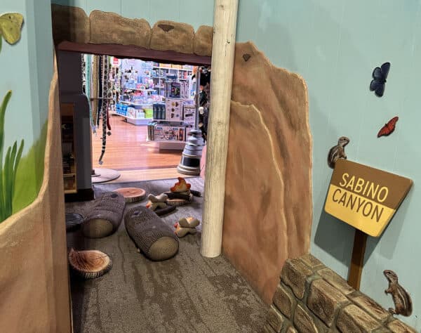 Sabino Canyon Sense of Place Exhibit Childrens Museum Tucson | Children's Museum Tucson Guide - Tickets, Parking, Special Events