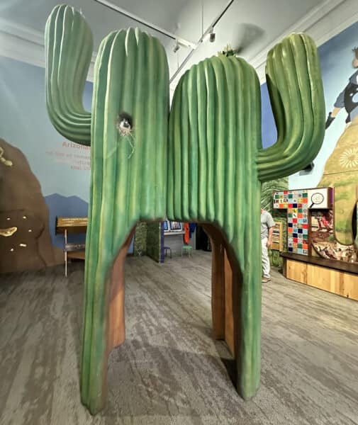 Saguaro Cactus Sense of Place Exhibit Childrens Museum Tucson | Children's Museum Tucson Guide - Tickets, Parking, Special Events