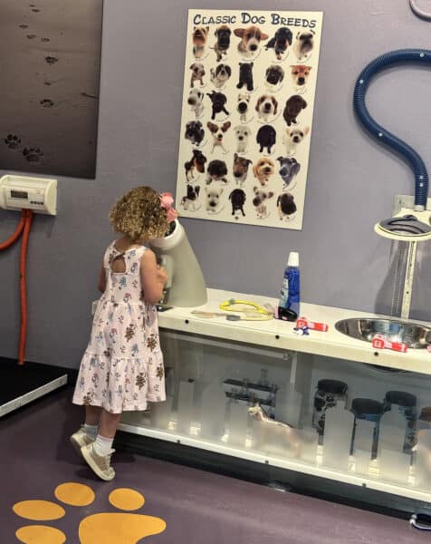 Vet Clinic Childrens Museum Tucson 1 | Children's Museum Tucson Guide - Tickets, Parking, Special Events