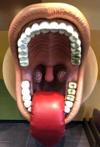 mouth tongue teeth Childrens Museum Tucson | Children's Museum Tucson Guide - Tickets, Parking, Special Events