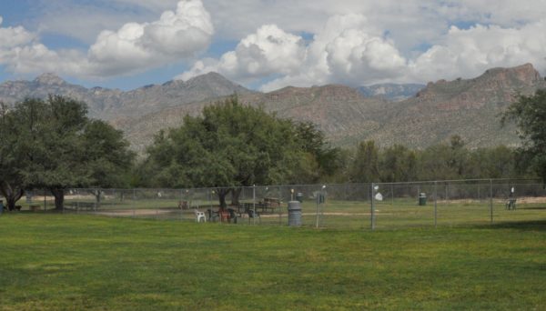 mountains grass McDonald Park Tucson | Park Profile: McDonald Park