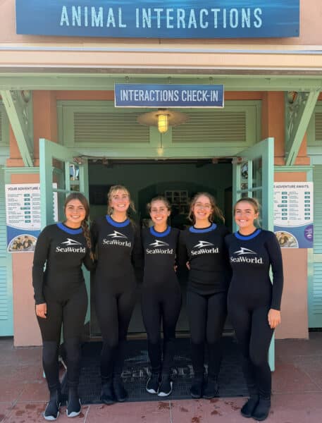 Animal Interactions SeaWorld San Diego Trainers Animal Interactions SeaWorld San Diego Trainers | Complete Guide to SeaWorld San Diego