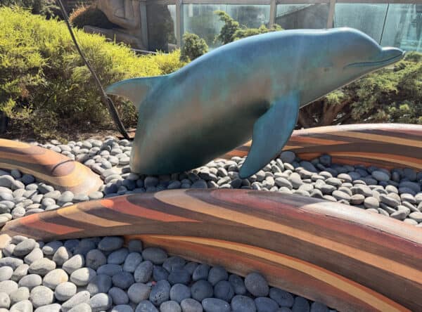 Dolphin Decor SeaWorld San Diego Dolphin Decor SeaWorld San Diego | Complete Guide to SeaWorld San Diego