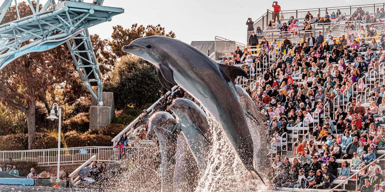 SeaWorld San Diego Guide Tips SeaWorld San Diego Guide Tips | Complete Guide to SeaWorld San Diego
