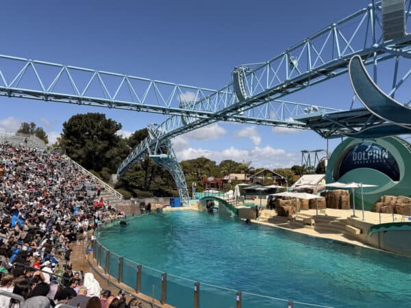Show Dolphin Adventures SeaWorld San Diego Show Dolphin Adventures SeaWorld San Diego | Complete Guide to SeaWorld San Diego