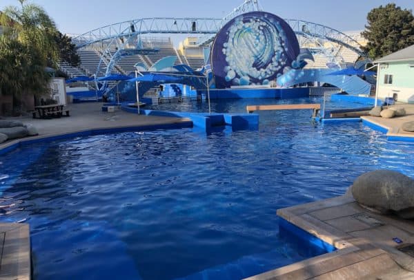 blue water SeaWorld San Diego | Complete Guide to SeaWorld San Diego