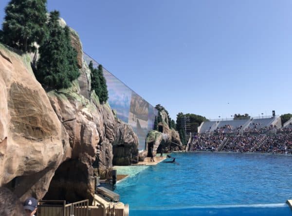 shows SeaWorld San Diego 1 | Complete Guide to SeaWorld San Diego