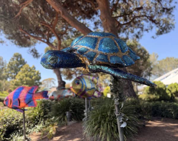 turtle decor SeaWorld San Diego turtle decor SeaWorld San Diego | Complete Guide to SeaWorld San Diego