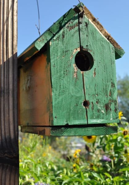 birdhouse Community Food Bank Southern Arizona | 20+ Places for Teens to Volunteer in Tucson