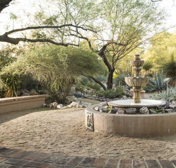 fountain Tucson Botanical Gardens | Ultimate Guide to Tucson Botanical Gardens