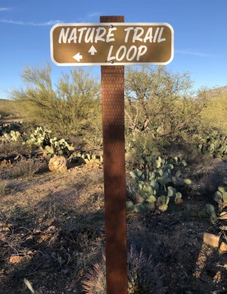 Nature Trail Loop Catalina State Park | Catalina State Park: Hiking & Camping Guide