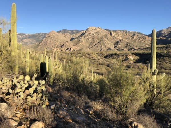 hiking with mountain view Catalina State Park | Catalina State Park: Hiking & Camping Guide