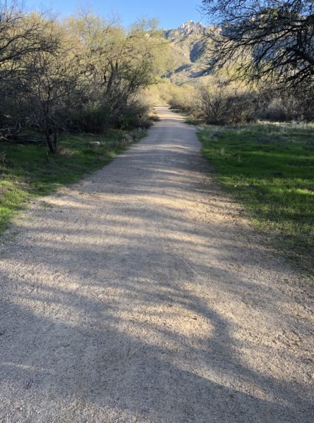 walking hiking path campgrounds to trailhead Catalina State Park | Catalina State Park: Hiking & Camping Guide