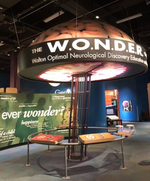 walton optimal neurological discovery arizona science center | What to Expect: A Day Trip to the Arizona Science Center