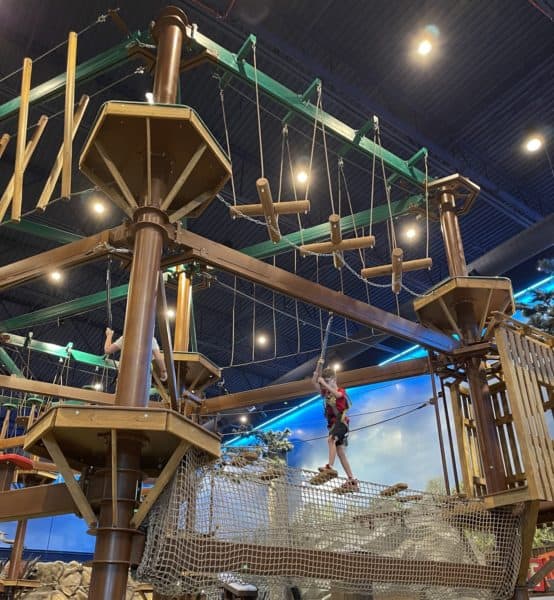 Howlers Peak Ropes Course Child Great Wolf Lodge Arizona Scottsdale Howlers Peak Ropes Course Child Great Wolf Lodge Arizona Scottsdale | Great Wolf Lodge Arizona: Complete Guide