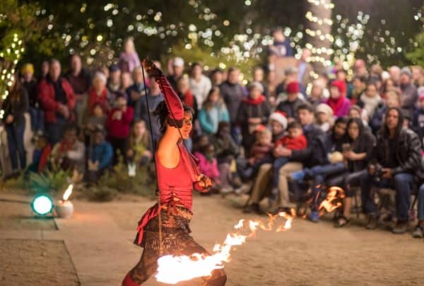 Fire Show Tohono Chul Holiday Nights | Holiday Lights in Tucson 2023