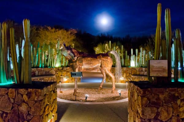 Holiday Nights Lights Tohono Chul Horse | Holiday Lights in Tucson 2023