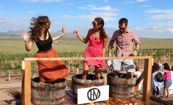 Arizona Hops Vines Grape Stomping Sonoita | 14 Best Wineries to Visit in Sonoita / Elgin