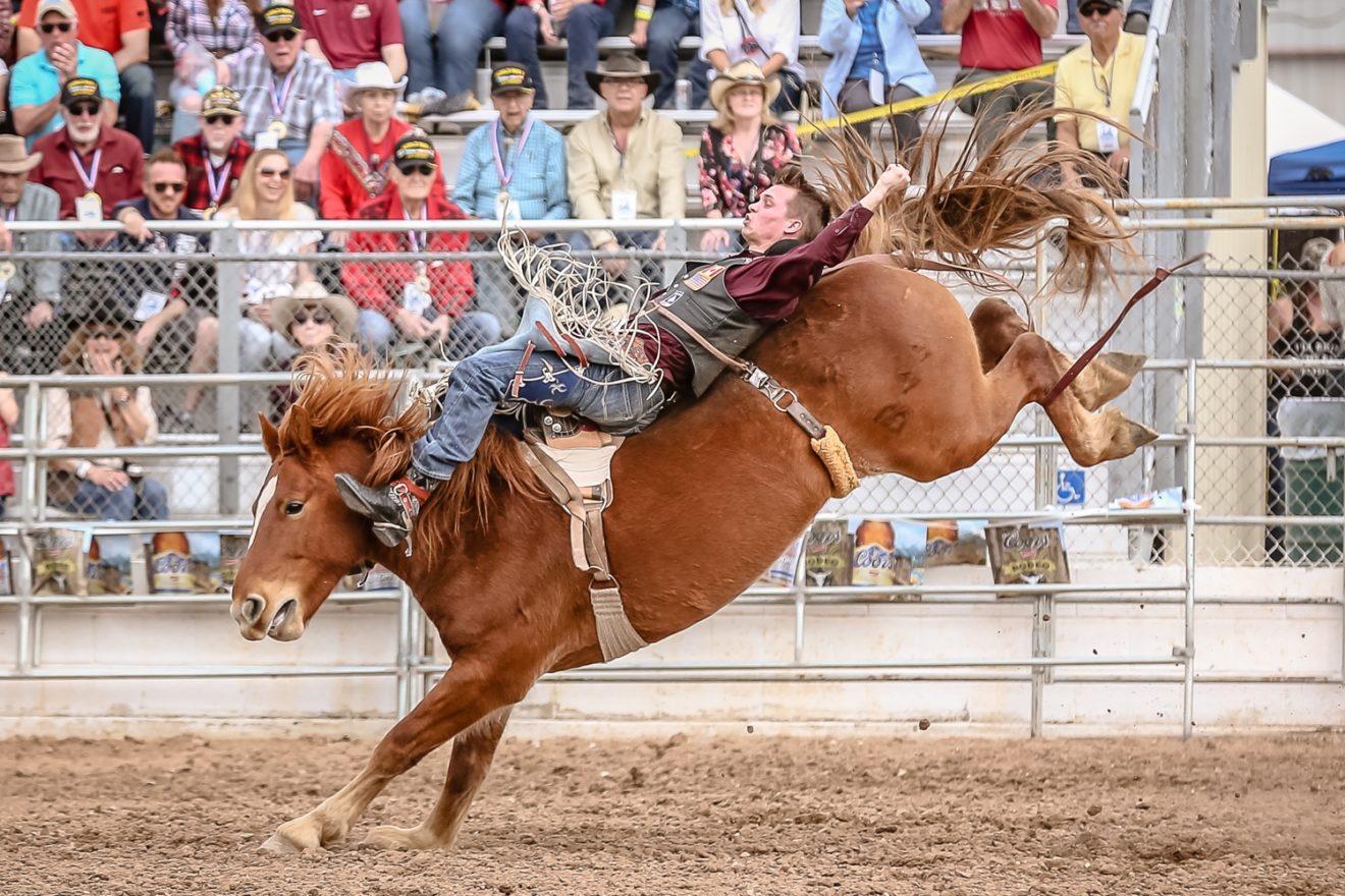 Tucson Rodeo Guide Tickets, Parking, Barn Dances, Parade TucsonTopia