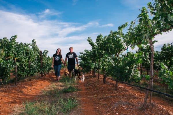 Rancho Rossa Vineyards Owners Elgin Arizona | 14 Best Wineries to Visit in Sonoita / Elgin