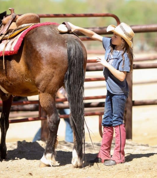 Child Grooming Horse Tanque Verde Ranch | Tanque Verde Ranch: An All-Inclusive Vacation in Tucson, AZ
