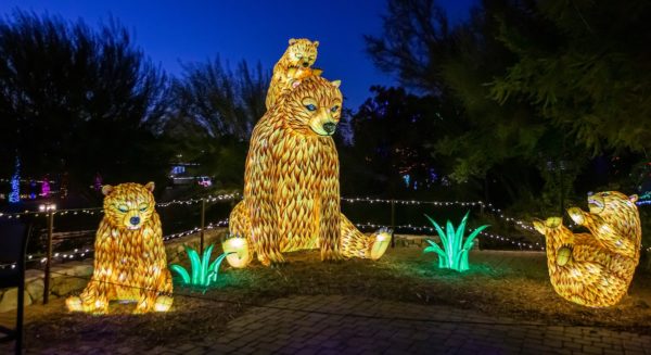 ZooLights Phoenix Zoo Bears | Best Holiday Events in Phoenix 2023