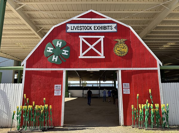 Livestock Exhibits Pima County Fair Tucson | Pima County Fair 2024 - Attraction Guide