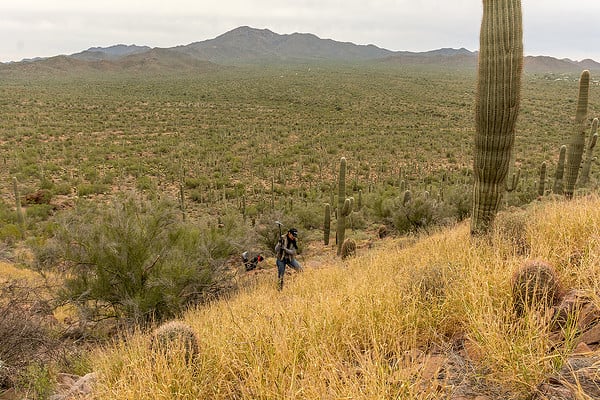 The Sonoran Desert Weedwackers Tucson | 20+ Places for Teens to Volunteer in Tucson