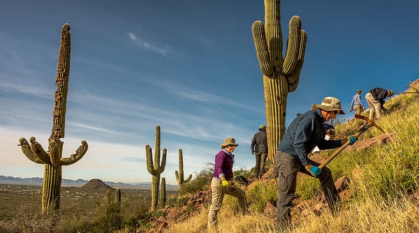 The Sonoran Desert Weedwackers Volunteers Tucson | 20+ Places for Teens to Volunteer in Tucson