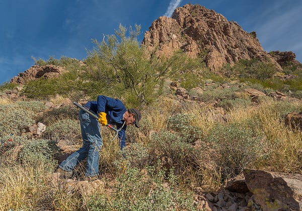 Volunteer The Sonoran Desert Weedwackers Tucson | 20+ Places for Teens to Volunteer in Tucson