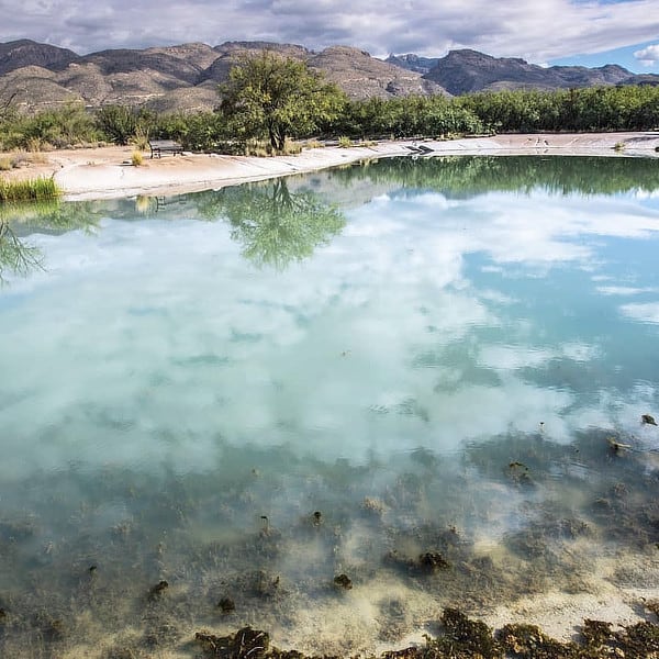 Agua Caliente Park Newsletter | 30 Best Things to Do in Tucson