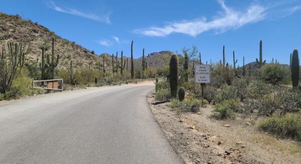 Bajada Loop Drive Entrance Saguaro National Park West Tucson | Saguaro National Park - Attraction Guide