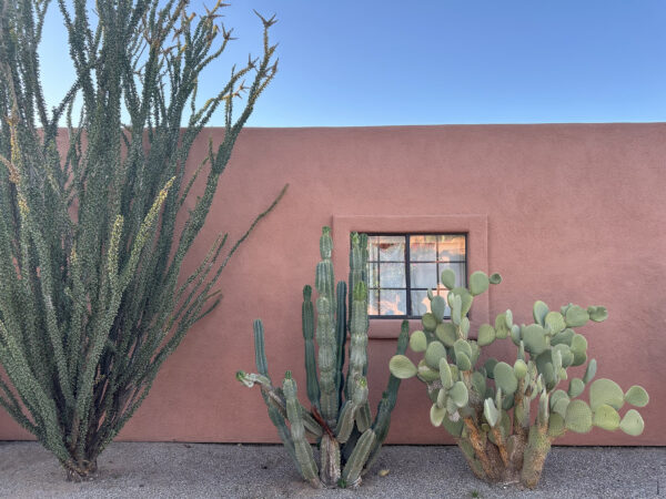 Southern Arizona Architecture Plants White Stallion Ranch Tucson | White Stallion Ranch: An All-Inclusive Vacation in Tucson