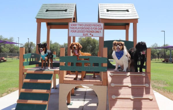 Big Dogs Little Dogs Wagging Tails Dog Park Lincoln Regional Park Tucson | Park Profile: Lincoln Regional Park