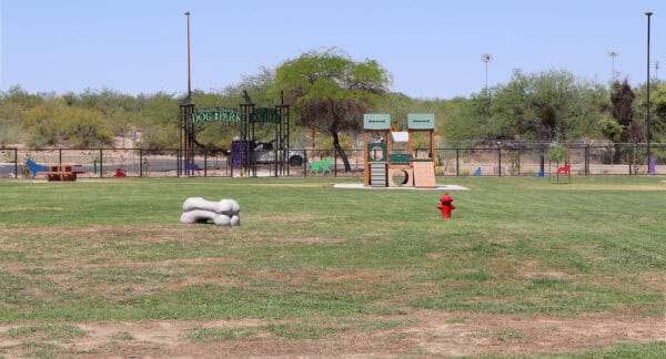 Wagging Tails Dog Park at Lincoln Regional Park Tucson | Park Profile: Lincoln Regional Park