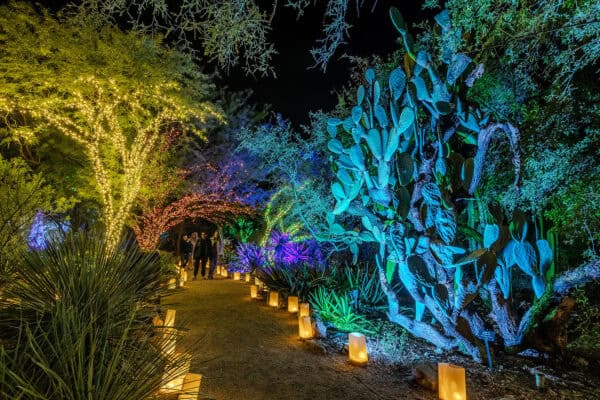 Holiday Lights Desert Tucson Botanical Gardens Festival | Holiday Lights in Tucson 2025