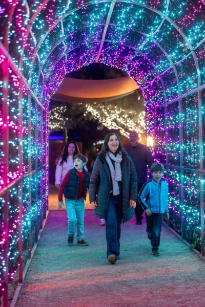 Light Tunnel Festival of Illumination Tucson Botanical Gardens Holiday Lights | Holiday Lights in Tucson 2025