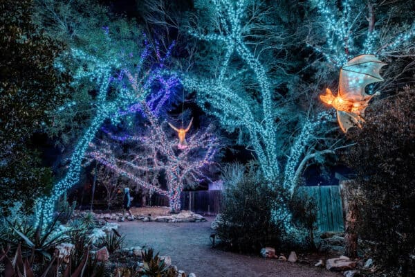 LightsUp Festival of Illumination Tucson Botanical Gardens Holiday Bats | Holiday Lights in Tucson 2025