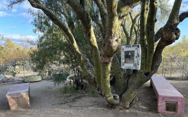 Book Box Childrens Butterfly Garden Case Natural Resource Park Tucson | Park Profile: Case Natural Resource Park