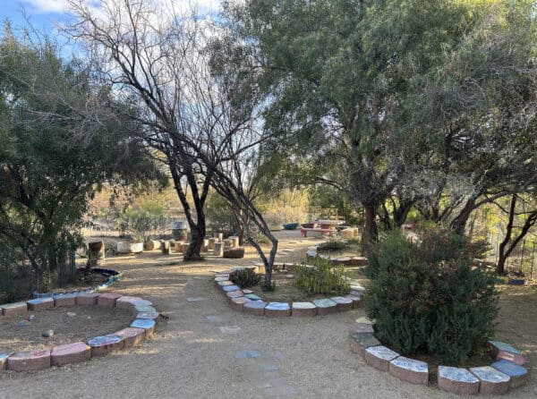 Childrens Butterfly Garden Case Natural Resource Park Tucson | Park Profile: Case Natural Resource Park