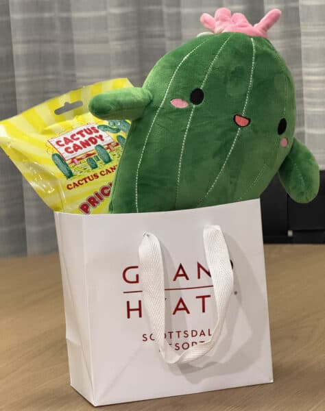 Welcome Gift for Kids Grand Hyatt Scottsdale Resort | Resort Report: Grand Hyatt Scottsdale Resort