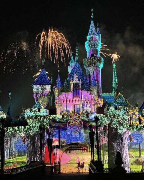 Wondrous Journeys Disneyland Castel Fireworks | Disneyland's 70th Anniversary - New Shows, Fun Rides, and Delectable Treats