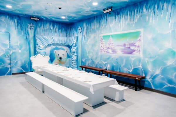 Ice Party Fozen Birthday Party Package Lava Island Indoor Playground Tucson | Lava Island (indoor themed playground) - Coming to Tucson This Fall!